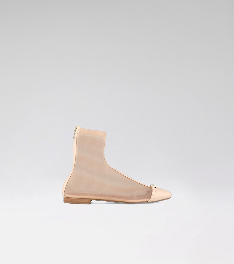 AMAL 02