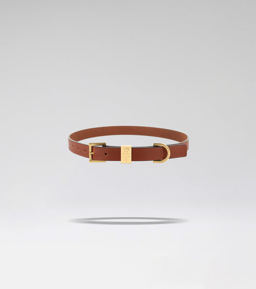 LA CEINTURE BOLD 02 - CARAMEL