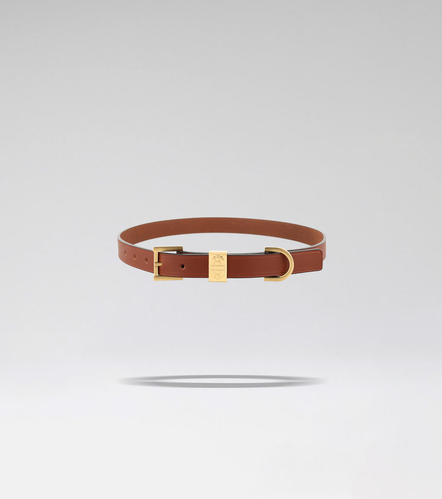 LA CEINTURE BOLD 02 - CARAMEL