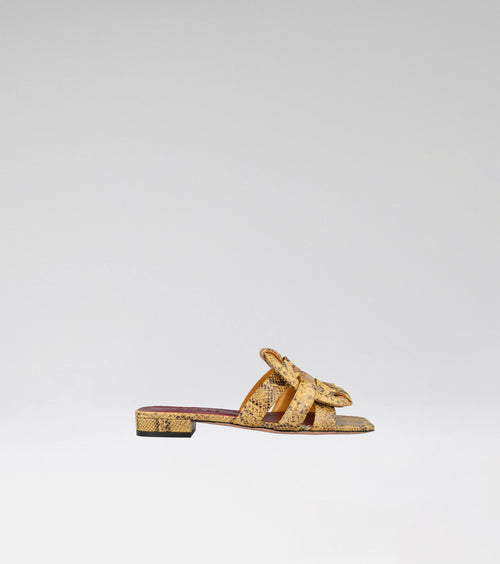 RUTH 102