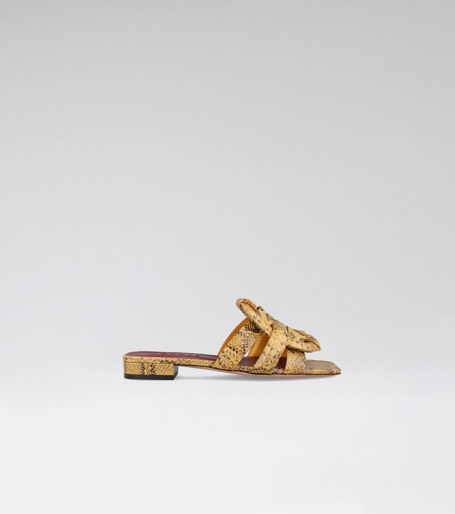 RUTH 102